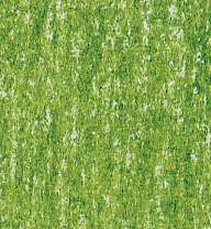 Crayons de couleur Rembrandt Polycolor, Vert mousse