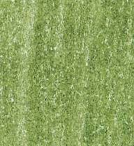 Crayons de couleur Rembrandt Polycolor, Vert vessie