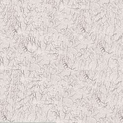 Papier Ingres vergé CLAIREFONTAINE, 50 x 65 cm, Gris clair