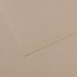 Papier CANSON® Mi-Teintes® Papier d´artistes de couleurs, 50 cm x 65 cm, Gris flanelle