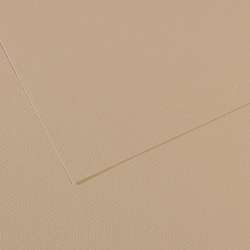 Papier CANSON® Mi-Teintes® Papier d´artistes de couleurs, 50 cm x 65 cm, Gris trianon