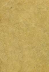 Papier Lokta teinté essences de plantes, 48 x 66 cm - 105 g/m², Roseau