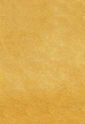 Papier Lokta teinté essences de plantes, 48 x 66 cm - 105 g/m², Ocre