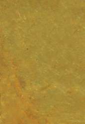 Papier Lokta teinté essences de plantes, 48 x 66 cm - 105 g/m², Olive claire