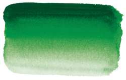 Vert de Hooker - PY83, PG36