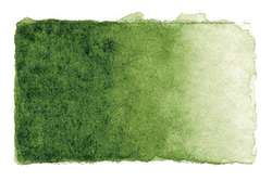 Aquarelle fine Studio GERSTAECKER, godet entier, vert olive