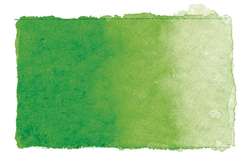 Aquarelle fine Studio GERSTAECKER, godet entier, vert jaune