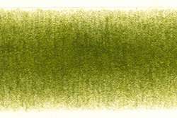 Crayon Derwent Procolour, Feuillage