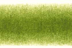 Crayon Derwent Procolour, Vert mousse