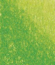 Crayon pastel Conté à Paris, Vert clair