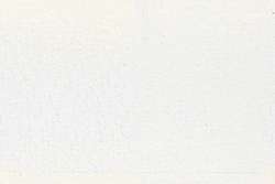 Fusains de couleur DERWENT, blanc TC21