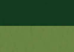 Encre acrylique abstract® SENNELIER, 30 ml, Vert Hooker