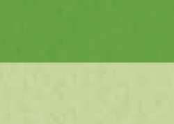 Encre acrylique abstract® SENNELIER, 30 ml, Vert jaune