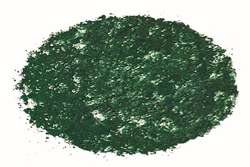 Galet pastel à l'écu Sennelier, Vert sapin