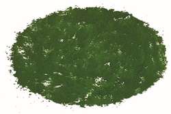 Galet pastel à l'écu Sennelier, Vert Olive