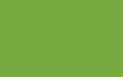 Encre indienne O’Color, 60 ml, Vert printemps