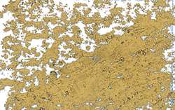 Pastel à l'huile JAXON® 1000, diam. 18 mm, Or