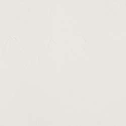 Blanc transparent - PW6