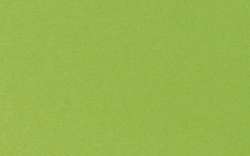 Papier couleur CLAIREFONTAINE, paquet de 25 feuilles, 120 g/m², Vert pomme