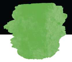 Couleurs fluo prémium FINETEC, à l´unité, Vert fluo