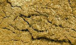 Or clair (Colortricx), 20 g