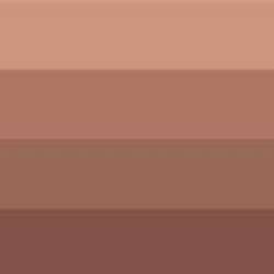 Encre d´impression lavable à l'eau CHARBONNEL, 60 ml, Terre de Sienne brulée