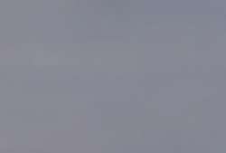 Talens Art Creation Acrylfarbe, 750 ml, Neutralgrau