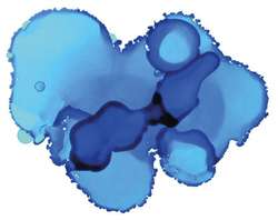 Encre à l'alcool Pinata Color, 15 ml, Baja blue