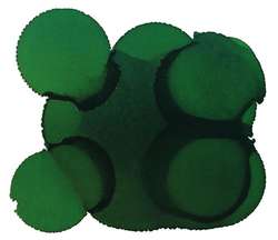 JACQUARD Pinata Color Alkoholtinte, 15 ml, RAINFOREST GREEN