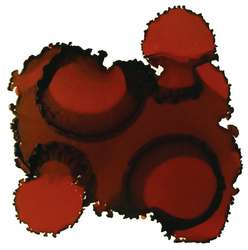 Encre à l'alcool Pinata Color, 15 ml, Burro brown