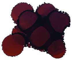 JACQUARD Pinata Color Alkoholtinte, 15 ml, HAVANA BROWN