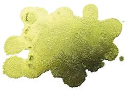 JACQUARD Pinata Color Alkoholtinte, 15 ml, RICH GOLD