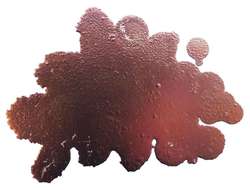 JACQUARD Pinata Color Alkoholtinte, 15 ml, PEARL