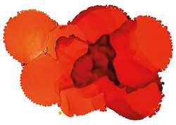 Encre à l'alcool Pinata Color, 15 ml, Tangerine