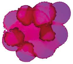 Encre à l'alcool Pinata Color, 15 ml, Senorita