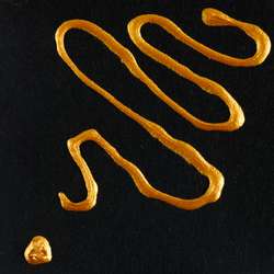 Peinture relief TALENS AMSTERDAM, 20 ml, Or antique