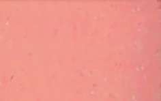 pébéo Setacolor cuir Ledermarker, Einzelmarker, Sakura-Rosa