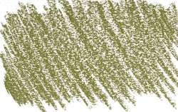 Pastels secs Blockx, Vert olive 2