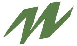 Feutre pointe calligraphie 375 STAEDTLER®, à l´unité, A l´unité, Vert olive