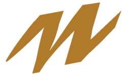 Feutre pointe calligraphie 375 STAEDTLER®, à l´unité, A l´unité, Ambre