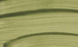 SCHMINCKE HORADAM® Naturals Feinste vegane Wasserfarben, 15 ml, Celadonit