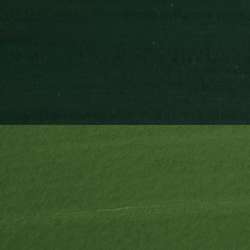 DANIEL SMITH Extra Fine™ GOUACHE | die deckende Aquarellfarbe, 15 ml, Sap Green