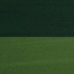 Gouache Extra Fine™ DANIEL SMITH, 15 ml, Vert de vessie PO 48, PY 150, PG 7