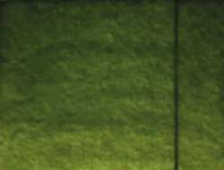 Aquarelle de Provence® extrafeine Aquarellfarben, 1/2 Näpfchen, Moosgrün - PG7/PY83/PY42