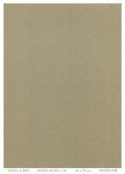 Pastel Card Mixed Media Sennelier, 50 x 70 cm, Gris clair