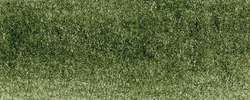 Chromaflow Derwent, Olive clair (Light olive - 1802)