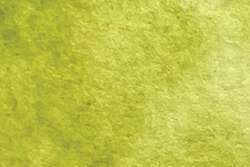 Aquarelle extra fine CHARVIN, demi-godet, à l´unité, Vert absinthe