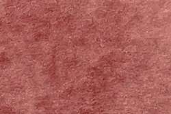 Aquarelle extra fine CHARVIN, demi-godet, à l´unité, Ocre rouge - PR101