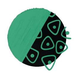 Marqueur acrea COPIC®, Leaf green