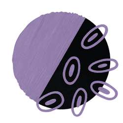 Marqueur acrea COPIC®, Lilac